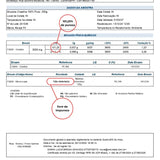 Creatina Monohidratada 100% Pura - 150 Cápsulas