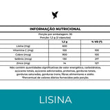 L-Lisina Composta - Lisina, Vitamina C, Zinco, Selênio e Cobre
