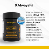 LuteínaVision® - Luteína, Zeaxantina, Vitamina A, Cobre e Zinco - 30 Cápsulas