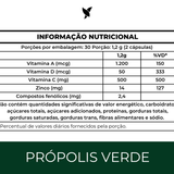 Própolis Verde com Vitaminas A, D3, C e Zinco - 60 Cápsulas